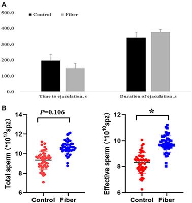 Dietary Fibre Supplementation Improves Semen Production by Increasing Leydig Cells and Testosterone Synthesis in a Growing Boar Model